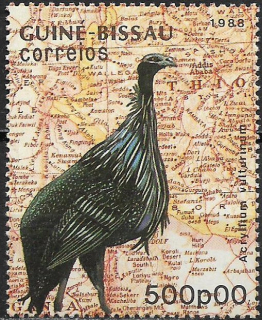 Guinea Bissau N Mi  0987