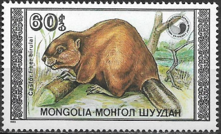 Mongolsko N Mi  2022
