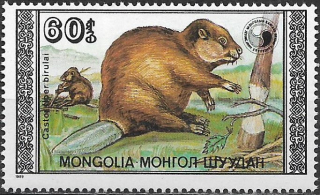 Mongolsko N Mi  2023