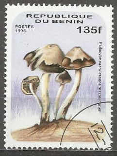 Benin u Mi 0853