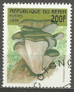 Benin u Mi 1005