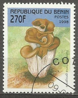Benin u Mi 1006