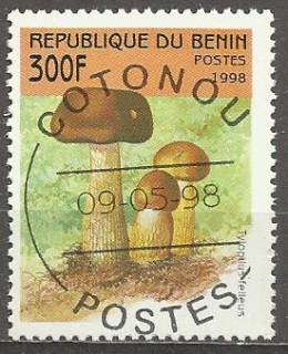 Benin u Mi 1007