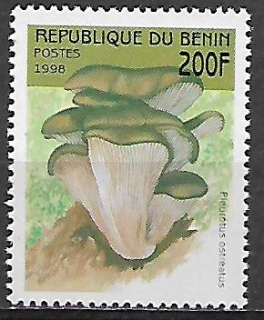 Benin N Mi 1005