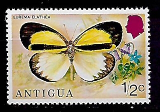 Antigua N Mi 381