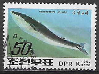 Severní Korea u Mi 3354