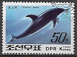 Severní Korea u Mi 3355