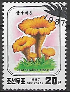 Severní Korea u Mi 2799