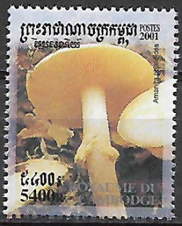 Kambodža N Mi 2175