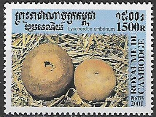 Kambodža N Mi 2173