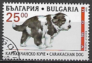 Bulharsko u Mi 4267