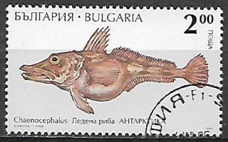 Bulharsko u Mi 4158