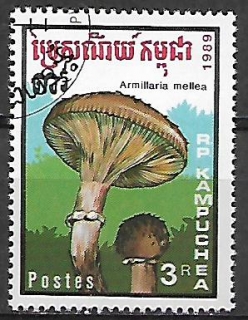 Kambodža u Mi 1050