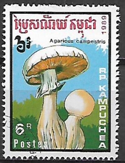 Kambodža u Mi 1051