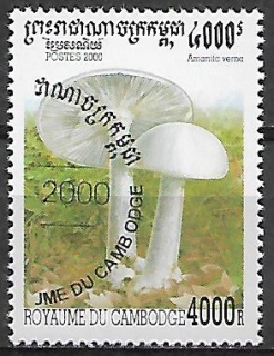 Kambodža u Mi 2066