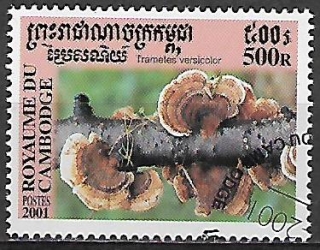 Kambodža u Mi 2170