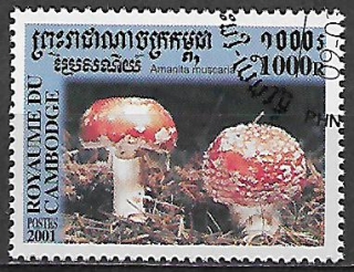 Kambodža u Mi 2172