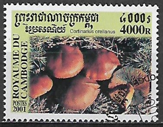Kambodža u Mi 2174