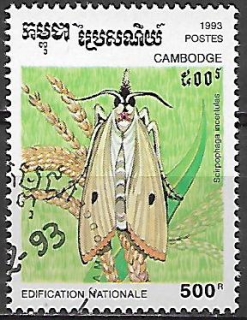 Kambodža u Mi 1399