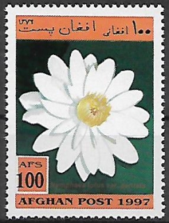 Afghánistán N Mi 1734