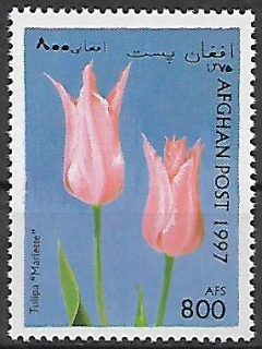 Afghánistán N Mi 1723