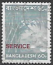 Bangladéš u Mi D 17