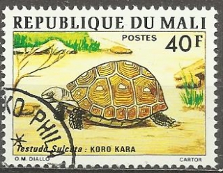 Mali u Mi 0525