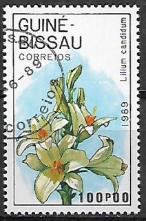 Guinea Bissau u Mi  1050