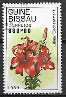 Guinea Bissau u Mi  1054