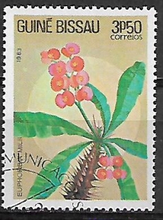Guinea Bissau u Mi  0726