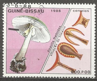 Guinea Bissau u Mi  0993