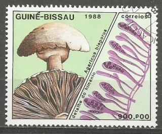 Guinea Bissau u Mi  0994