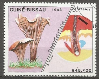 Guinea Bissau u Mi  0995