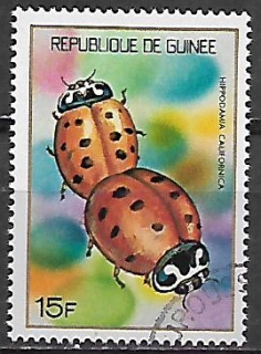Guinea u Mi  0662