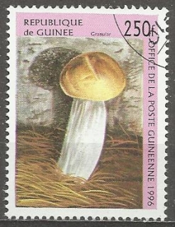 Guinea u Mi  1611