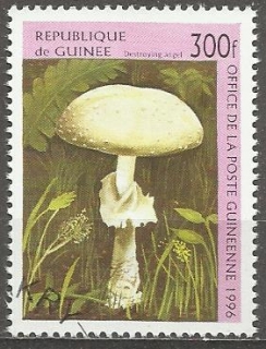 Guinea u Mi  1612