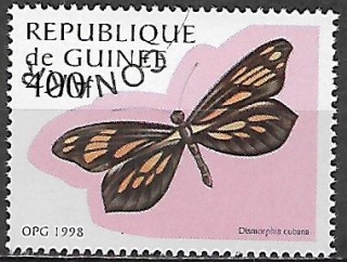Guinea u Mi  1719