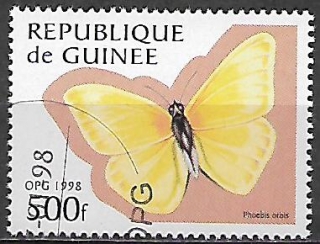 Guinea u Mi  1721