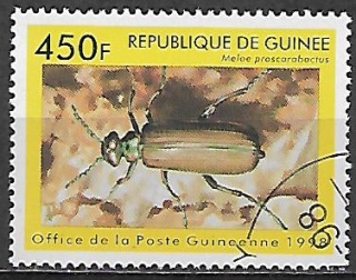 Guinea u Mi  1898