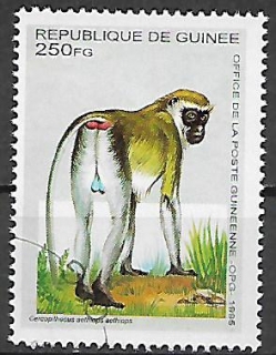 Guinea u Mi  1534
