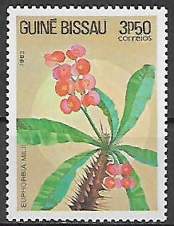 Guinea Bissau N Mi  0726