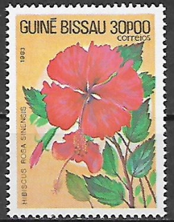 Guinea Bissau N Mi  0730