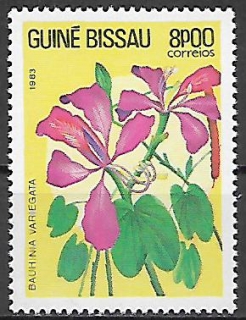 Guinea Bissau N Mi  0728