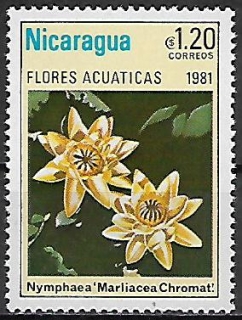 Nikaragua N Mi  2203
