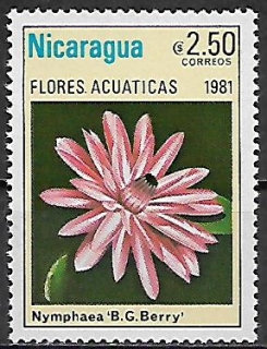 Nikaragua N Mi  2206