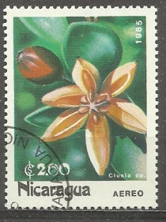 Nikaragua u Mi  2589