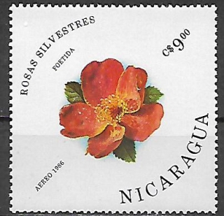 Nikaragua N Mi  2635