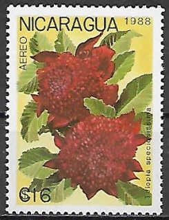 Nikaragua N Mi  2911