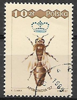 Polsko u Mi 3106