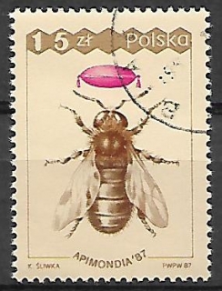 Polsko u Mi 3108